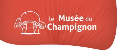Le musée du champignon à Saumur : plus de 300 espèces de champignon à découvrir dans nos troglodytes