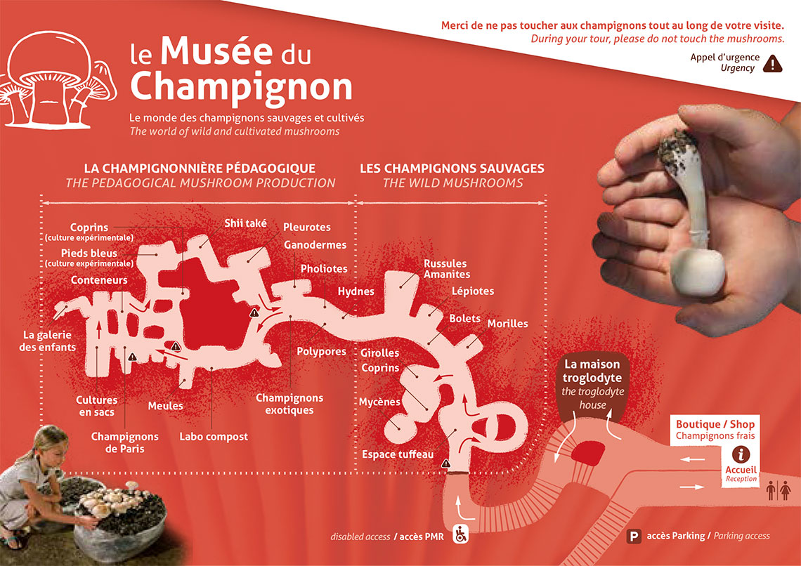 map of the mushroom museum