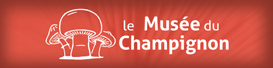 Champignons exposés en chambre troglodyte au musée du champignon situé à Saumur en Anjou