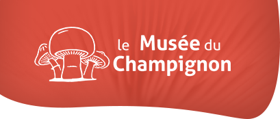 The Mushroom Museum in Saumur: more than 300 species of mushroom to discover in our troglodytes