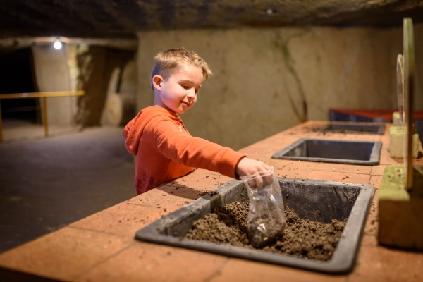 School Mushroom Workshop