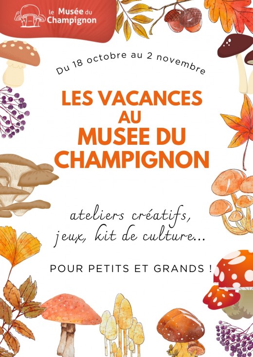 Les Vacances au Musée du Champignon Les Vacances au Musée du Champignon