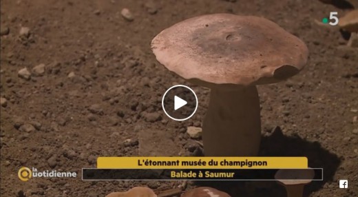 Vidéo découverte France 5